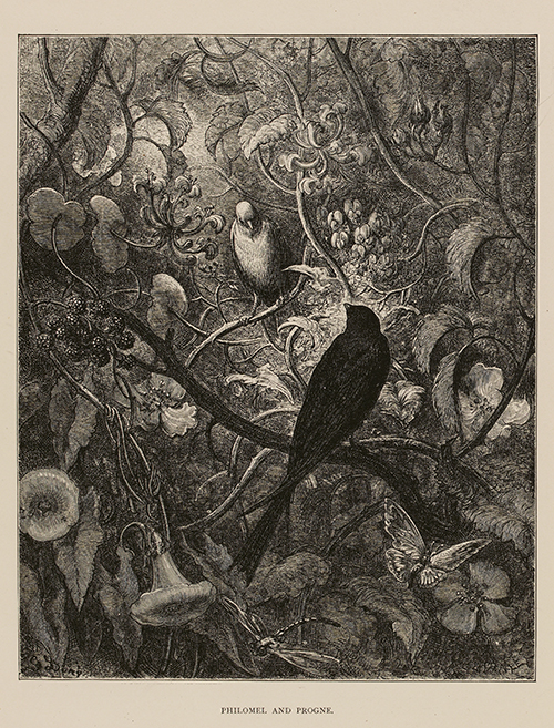 The Fables of La Fontaine, Jean, de La Fontaine, s.d., Londres, 1885