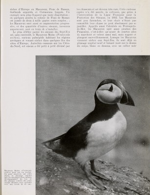 Science et Nature par la photographie et par l’image, n°13, janv.-févr. 1956
