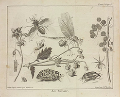 Le Spectacle de la nature, l’abbé Pluche, Tome 1, 1764-1770